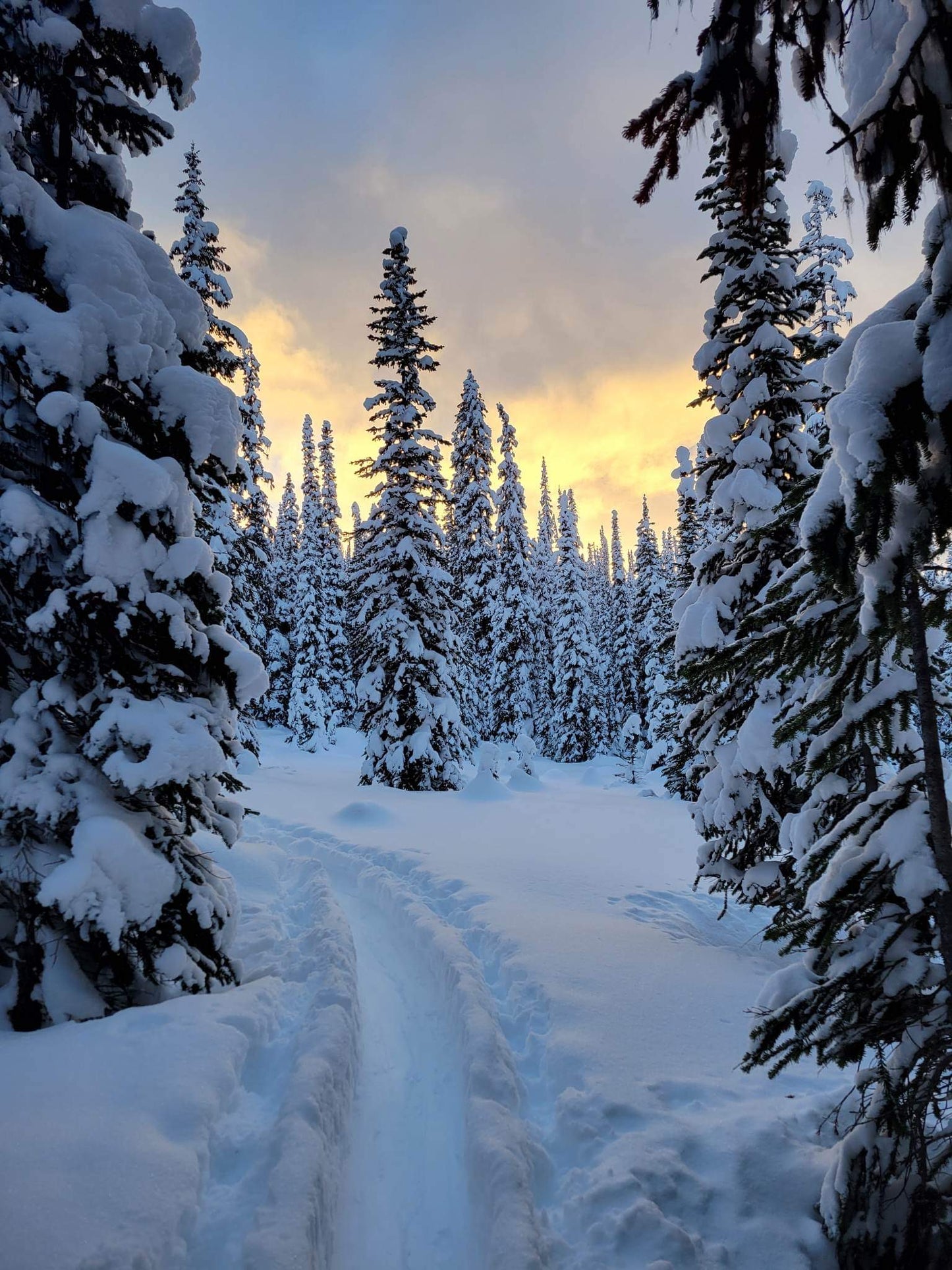 Avalanche Skills Training 2 (AST2) -- Weekend Based