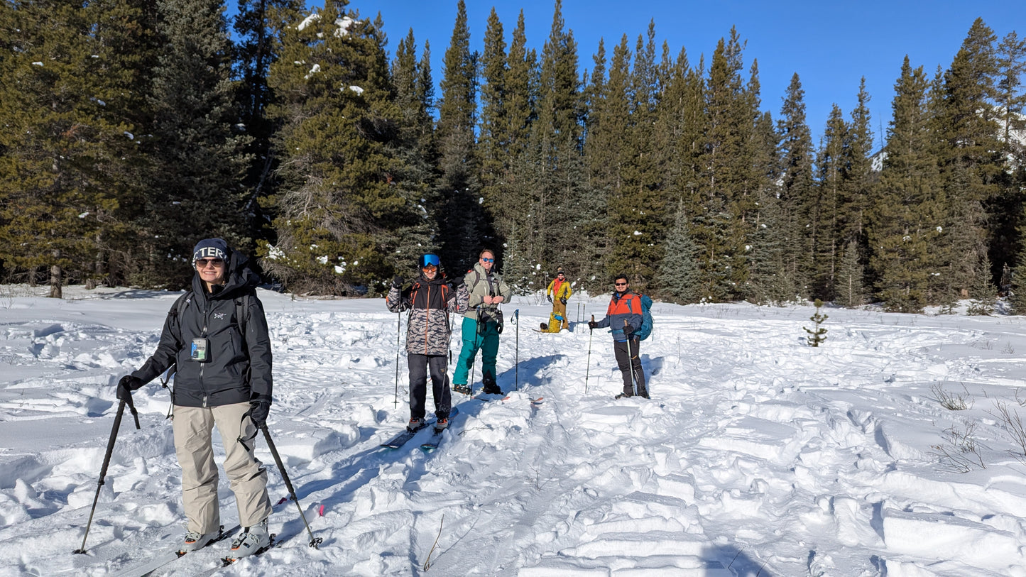 Avalanche Skills Training 1 (AST1)