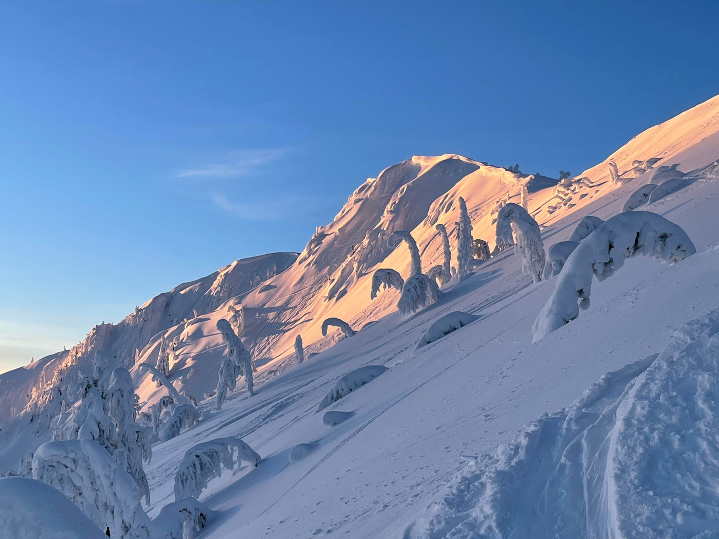 Avalanche Skills Training 2 (AST2) -- Hut Based