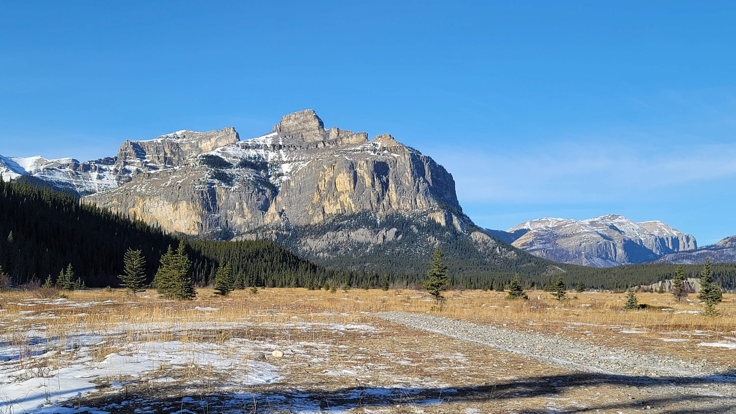 Ghost Ice Camp (GIC)