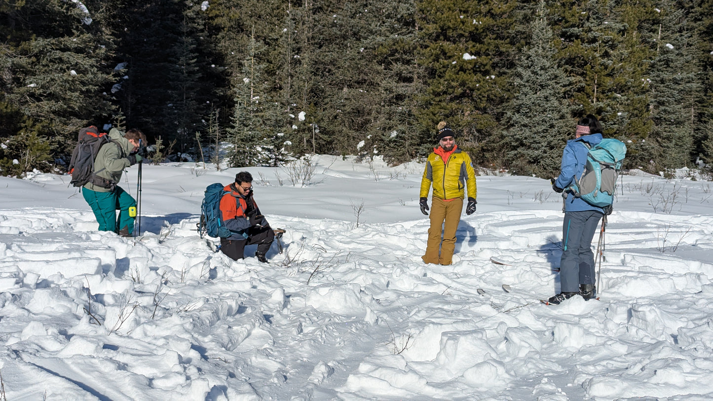 Avalanche Skills Training 1 (AST1)