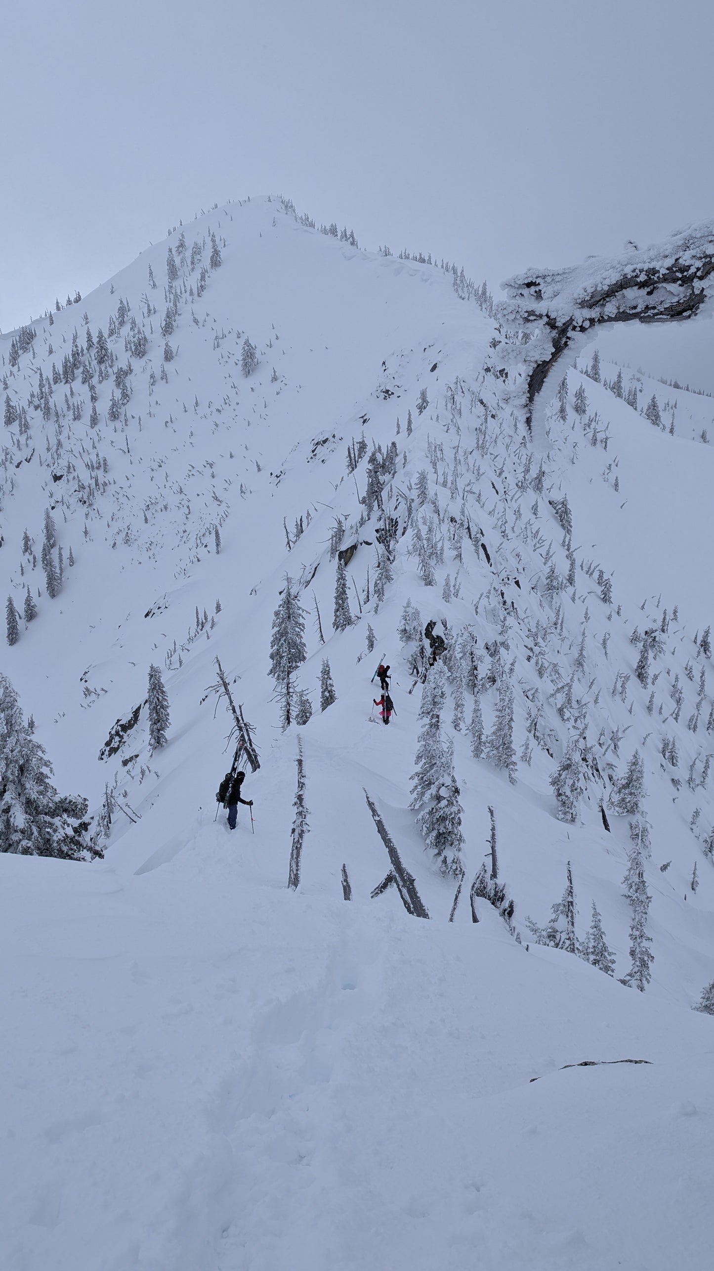 Introduction to Ski Mountainering (SM1)