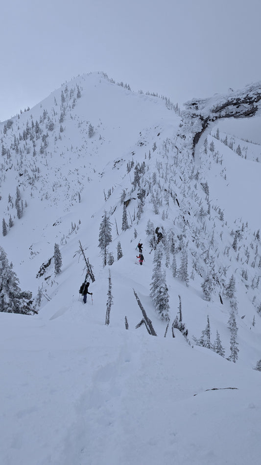 Introduction to Ski Mountainering (SM1)